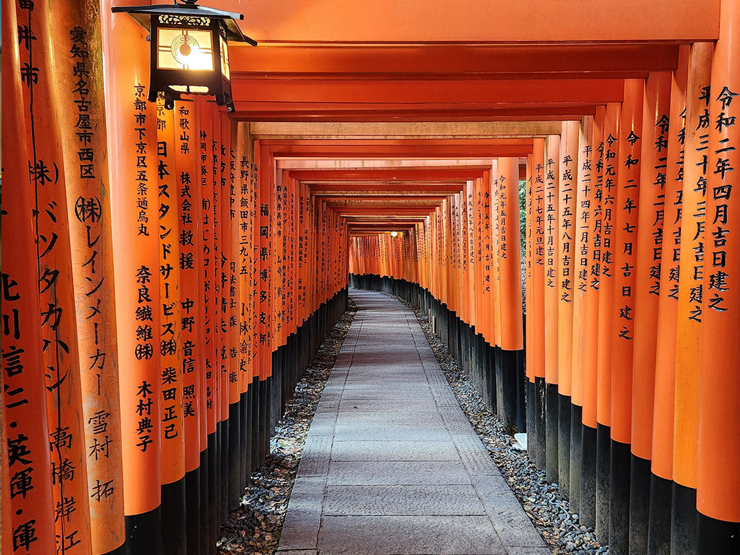 2024 Japan Trip Part Two: Nara, Kyoto, and Kameoka