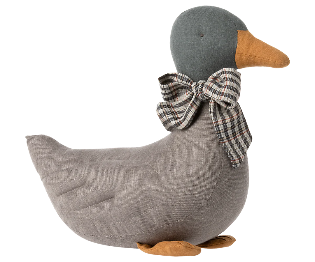Grey Duck*