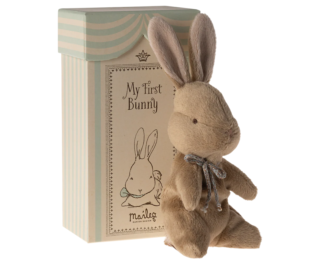 My First Bunny in a Box | Brown