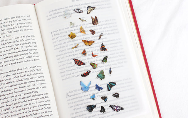 Butterfly | Nature Sticker Sheet