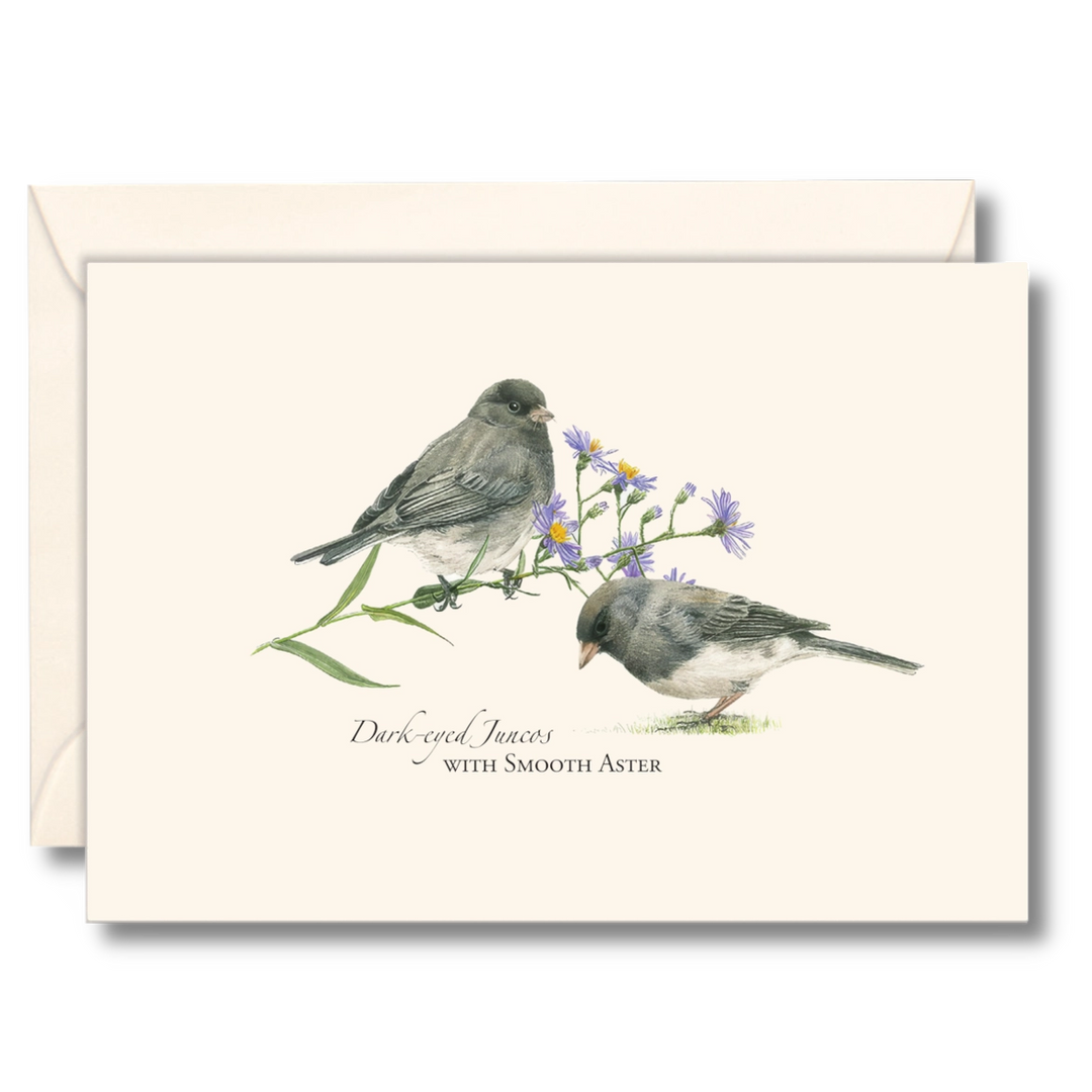 Juncos | 8 Card Set