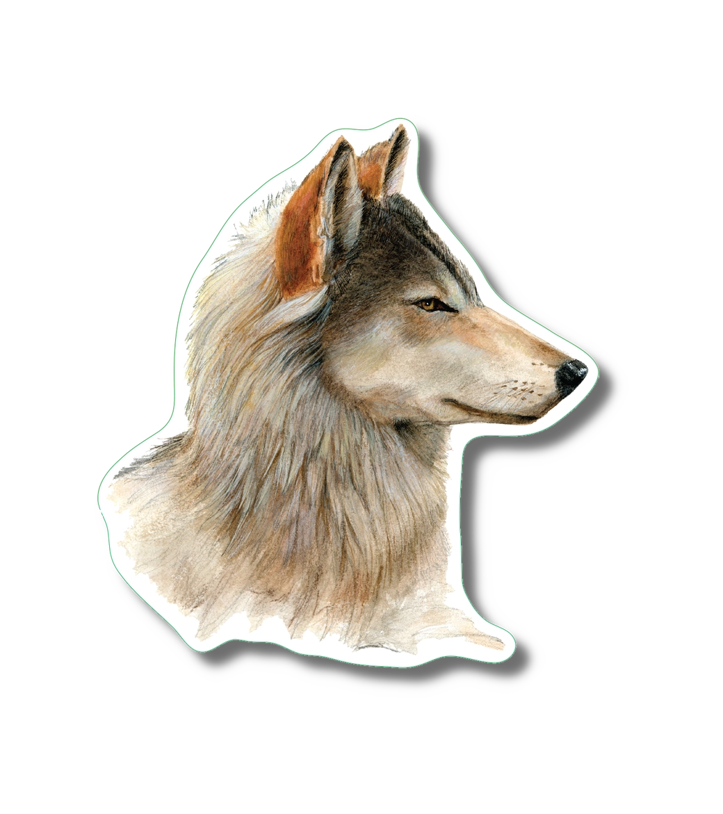 Gray Wolf | Vinyl Sticker