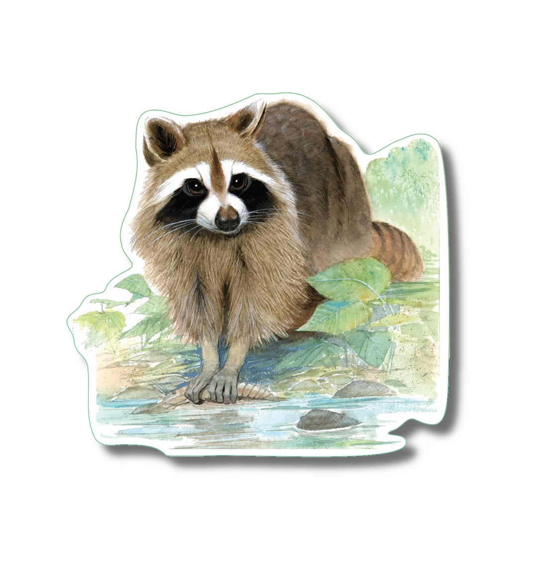 Raccoon | Vinyl Sticker