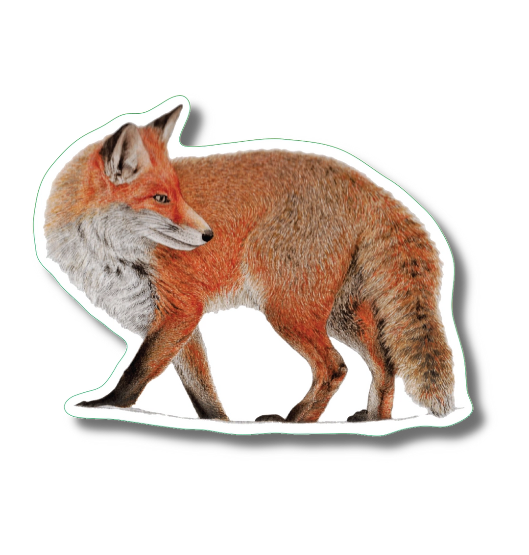 Red Fox | Vinyl Sticker