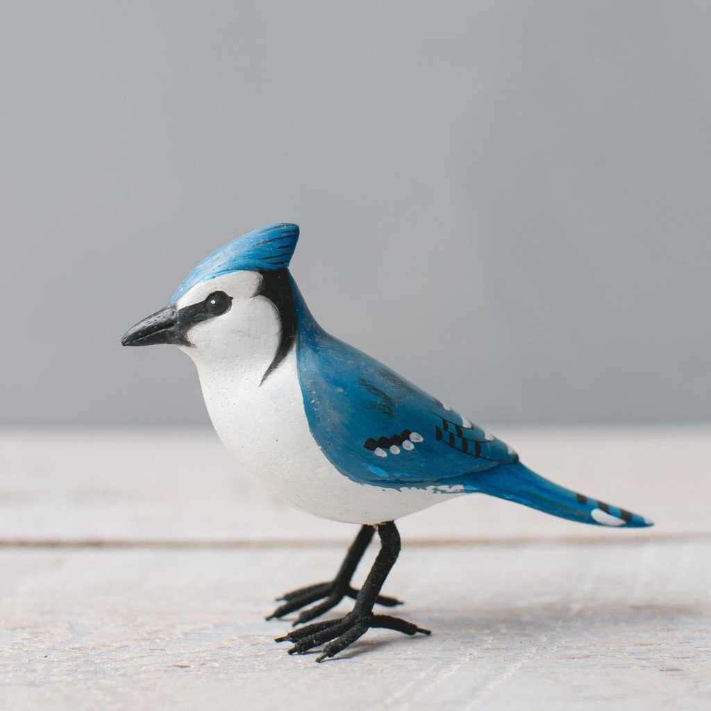 Mini Blue Jay