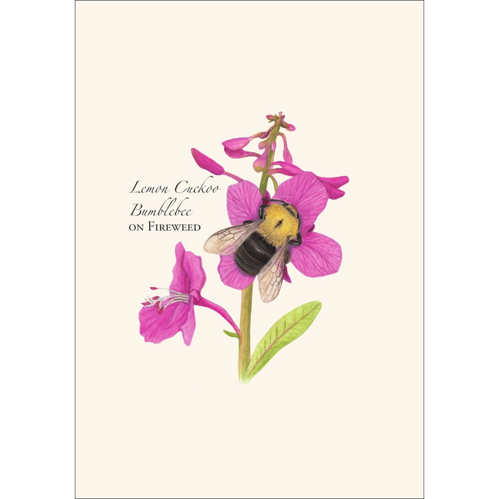 Spring Bee | Assorted 8 Card Set