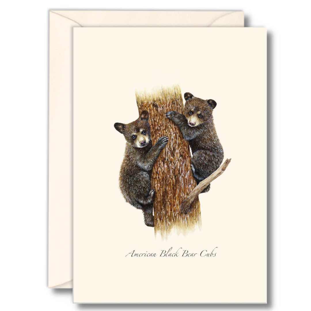 Black Bear Cubs | 8 Card Set