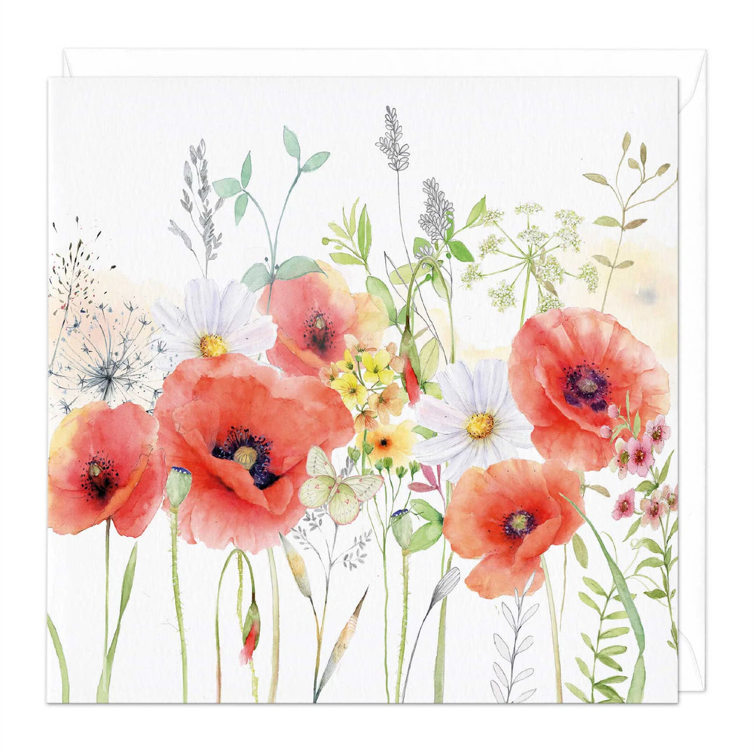 Meadow Poppies | Greeting Card*