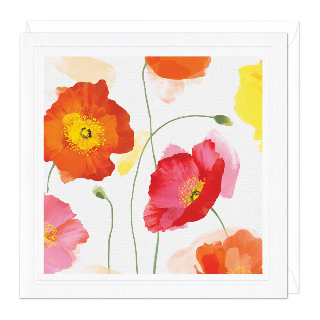 Pink Poppies | Greeting Card