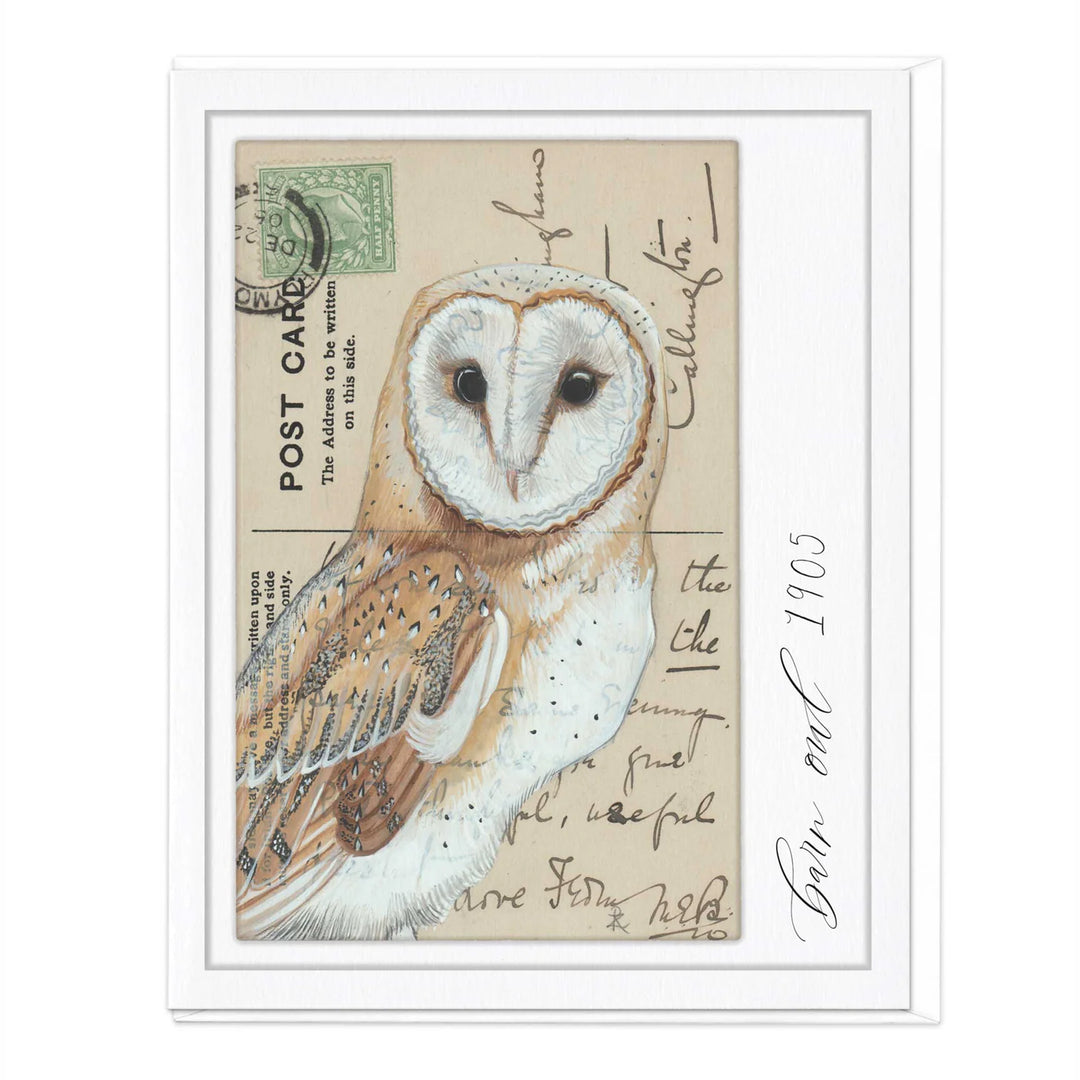 Barn Owl Vintage Art | Greeting Card