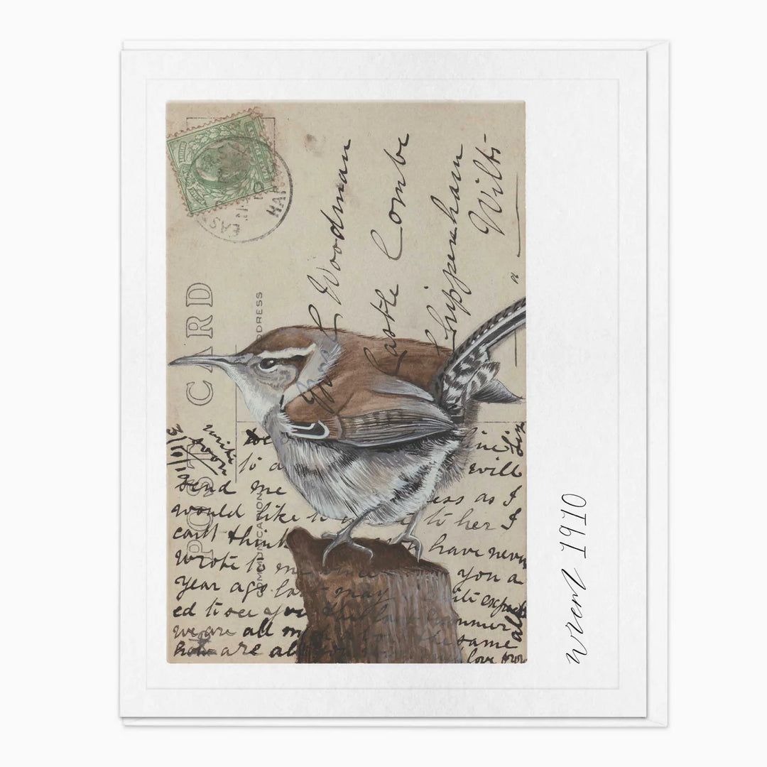 Wren Bird Vintage Art | Greeting Card