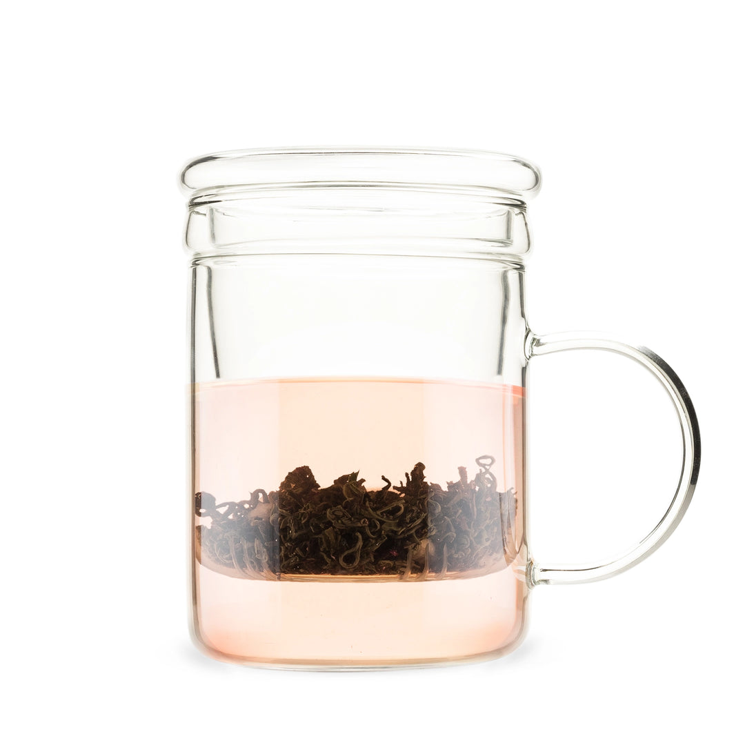 Blake Glass Mug with Tea Infuser