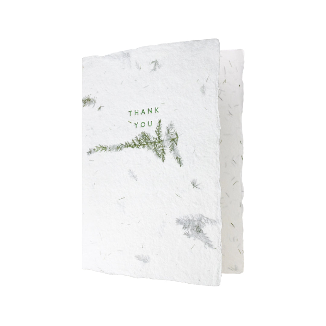 Fern Thank You | 6 Card Set