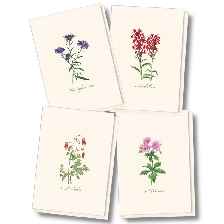 Meadow Wildflower | Assorted 8 Card Set