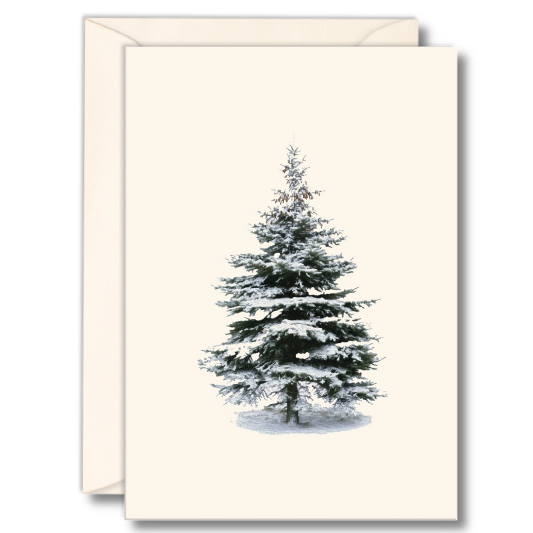 Winter Spruce Holiday Card | 8 Card Set