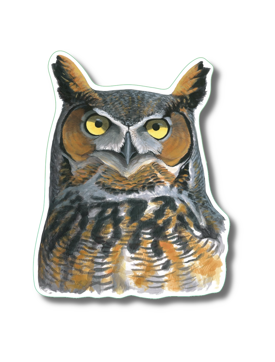 Great Horned Owl | Vinyl Sticker