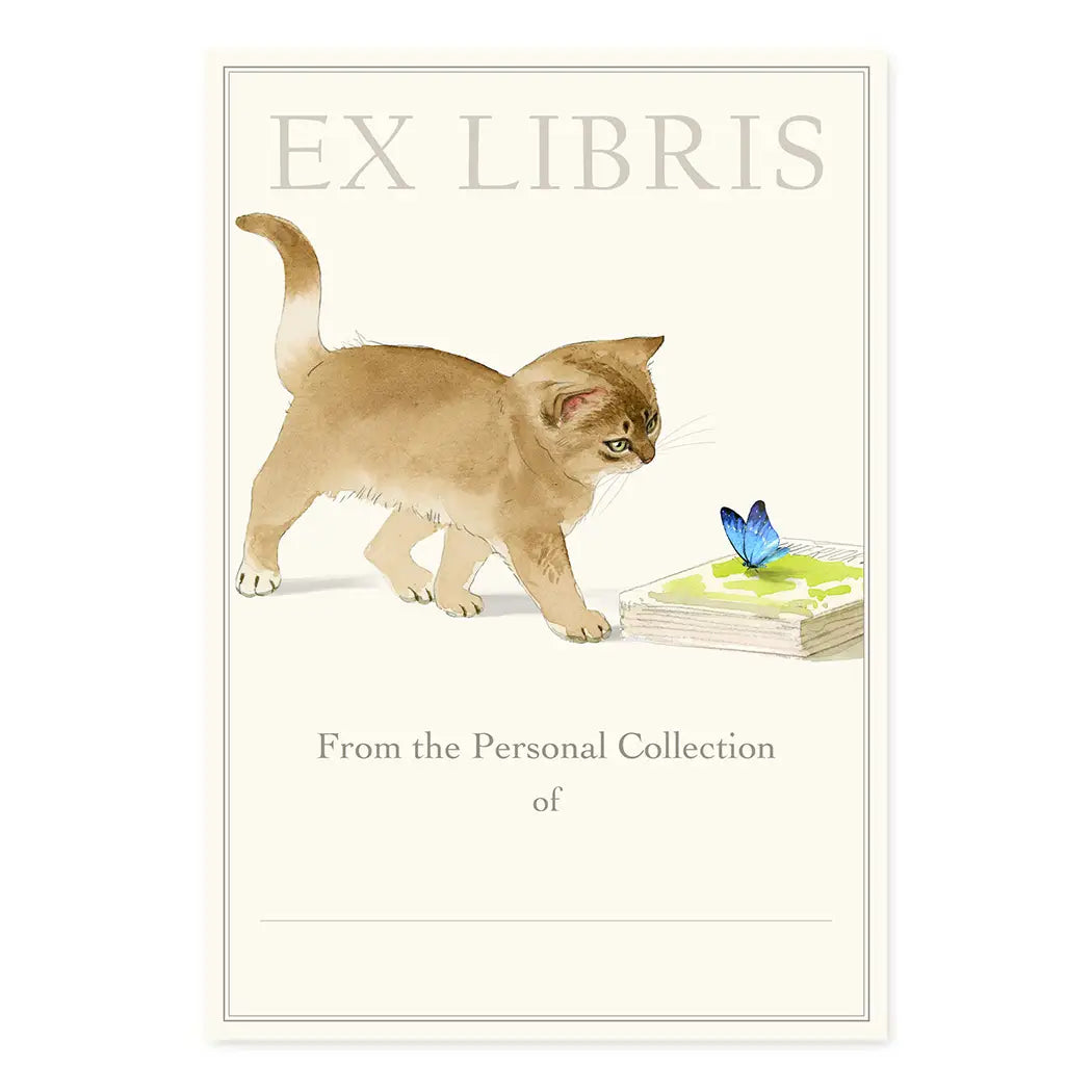 Curious Kitten Bookplates