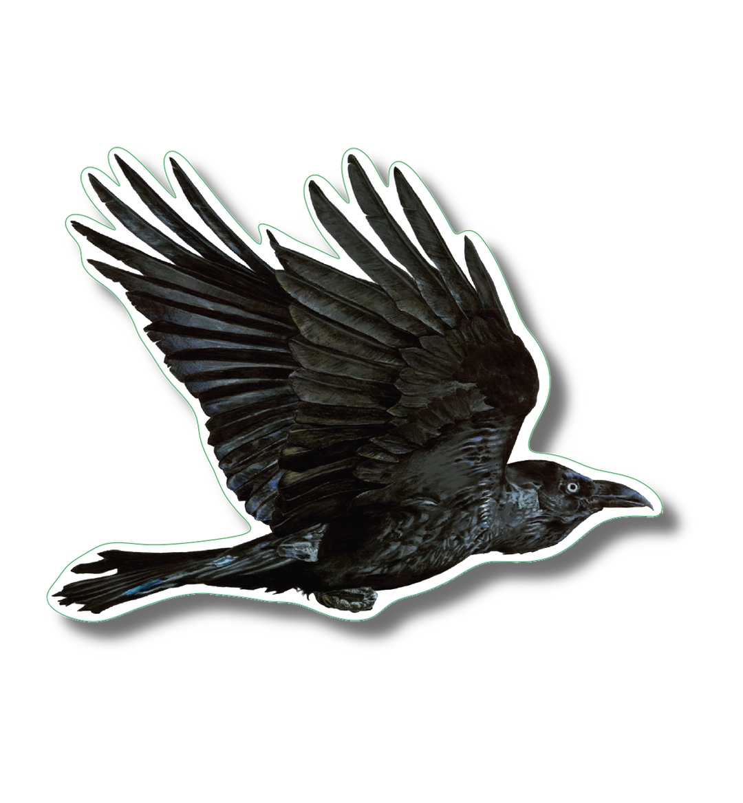 Raven | Vinyl Sticker