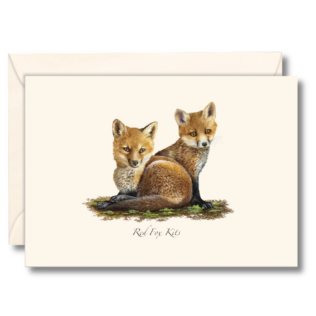 Red Fox Kits | 8 Card Set