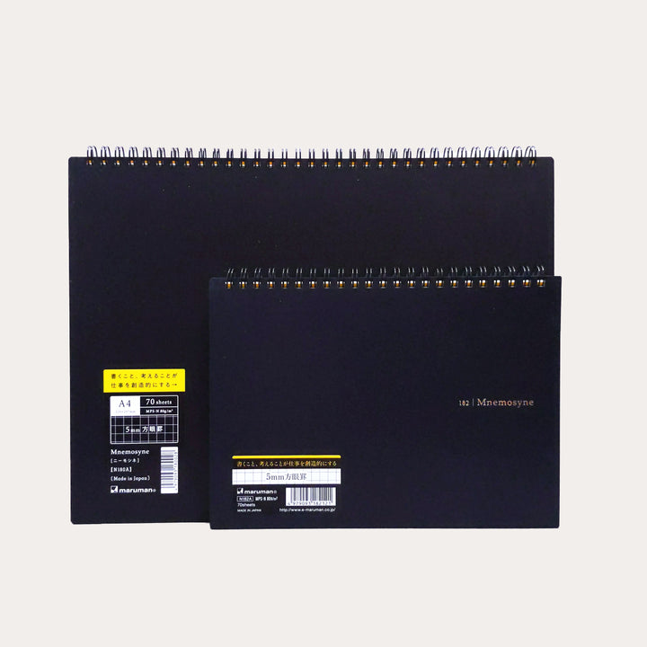 Mnemosyne Graph Notebook