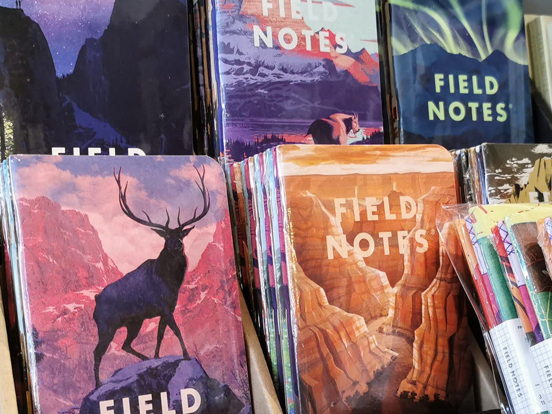 Spotlight: Field Notes