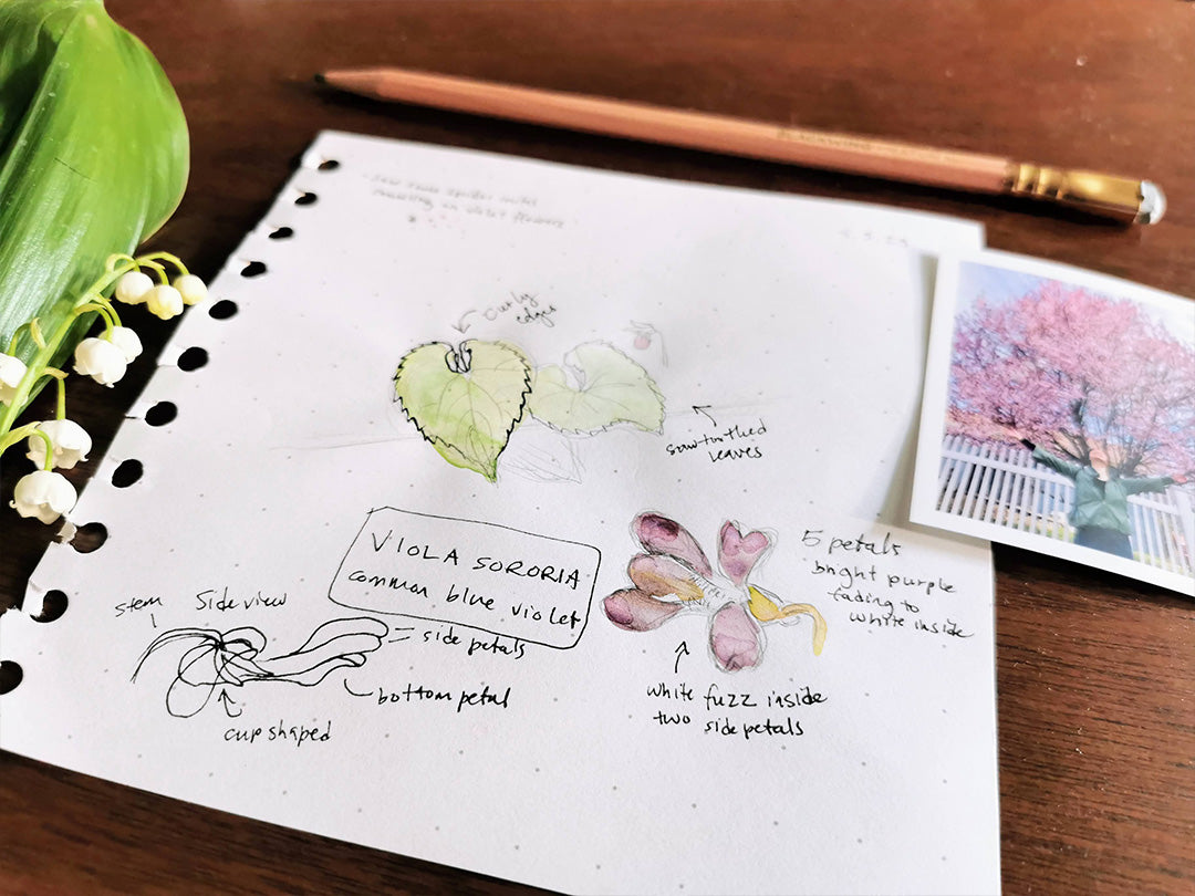 Keeping a Nature Journal