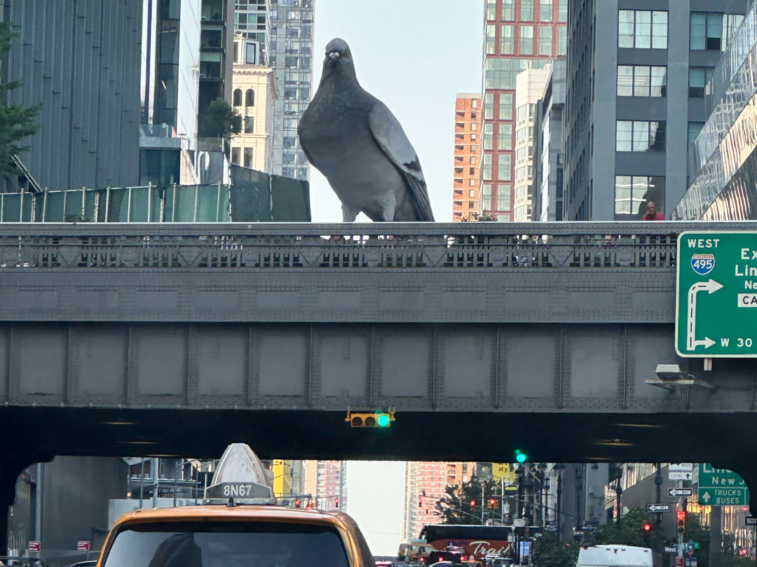 The New York Gift Shows: August 2025