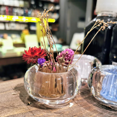 Getting Curious: Plants