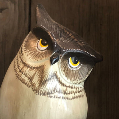 Getting Curious: Annoyance
