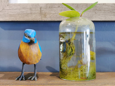 Gifts for the Nest