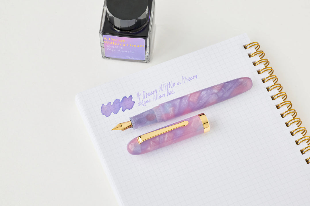 A Dream within a Dream Literature Preface Fountain Pen