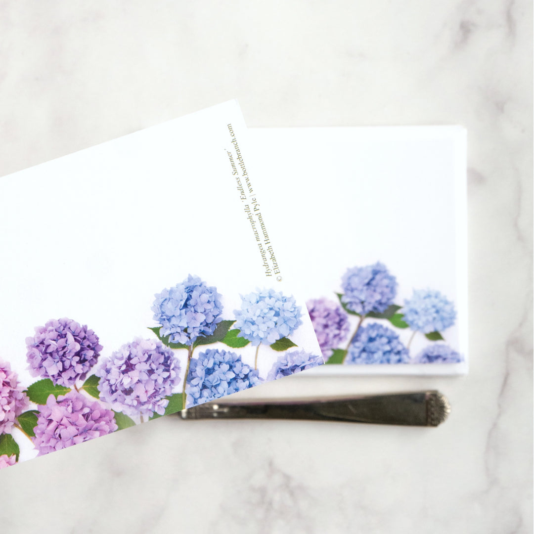Hydrangea | 8 Flat Card Set