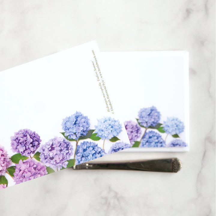 Hydrangea | 8 Flat Card Set