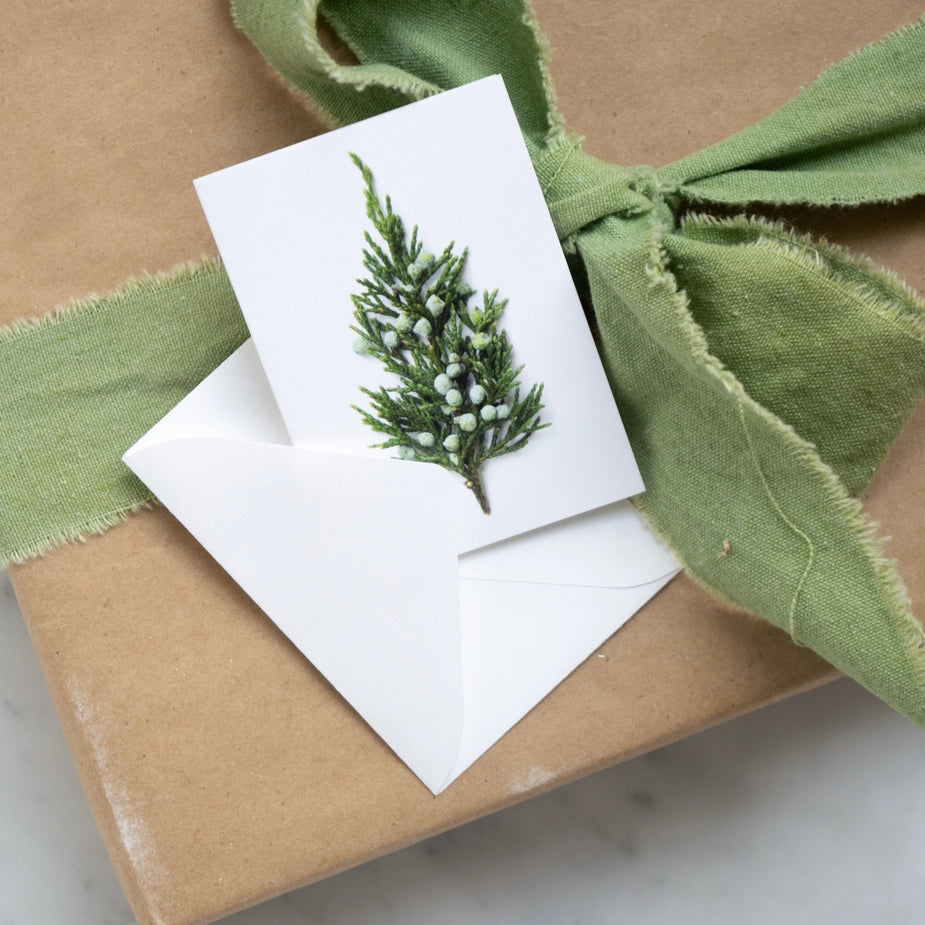 Tiny Tree Holiday Enclosure Card