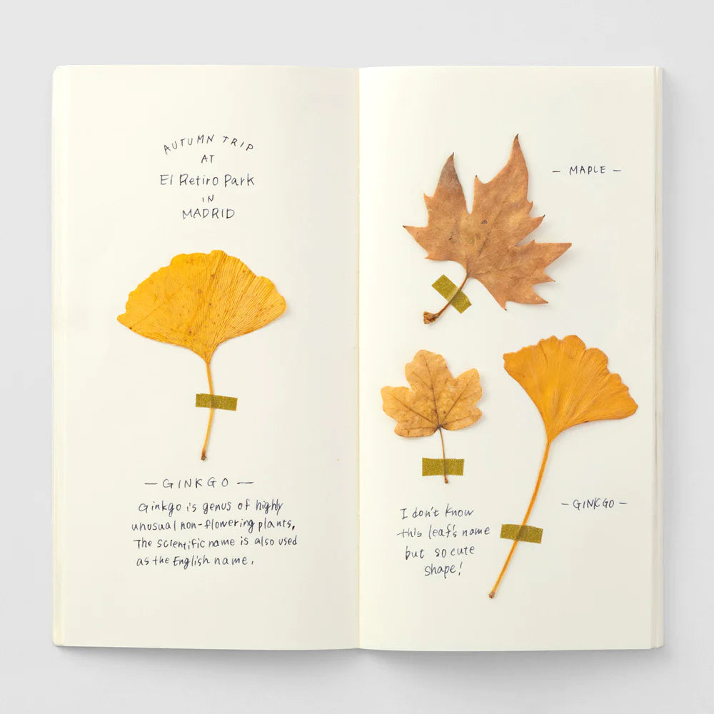 TRAVELER'S notebook 025 MD Paper Cream Notebook | Regular Size