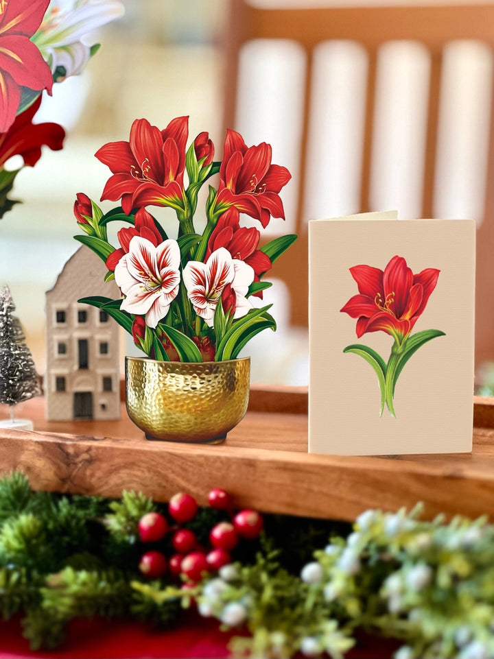 Scarlett Amaryllis Mini Pop-Up Card