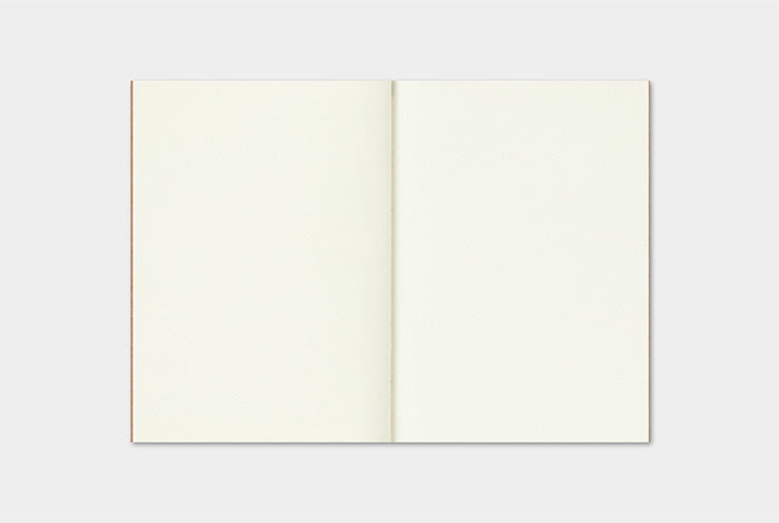 2025 Traveler's Monthly Planner | Passport Size