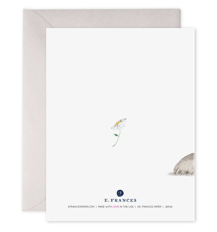 Anteater Sorry | Greeting Card