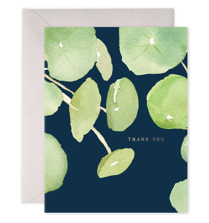 Pilea Plant Thank You |  6 Cards Set