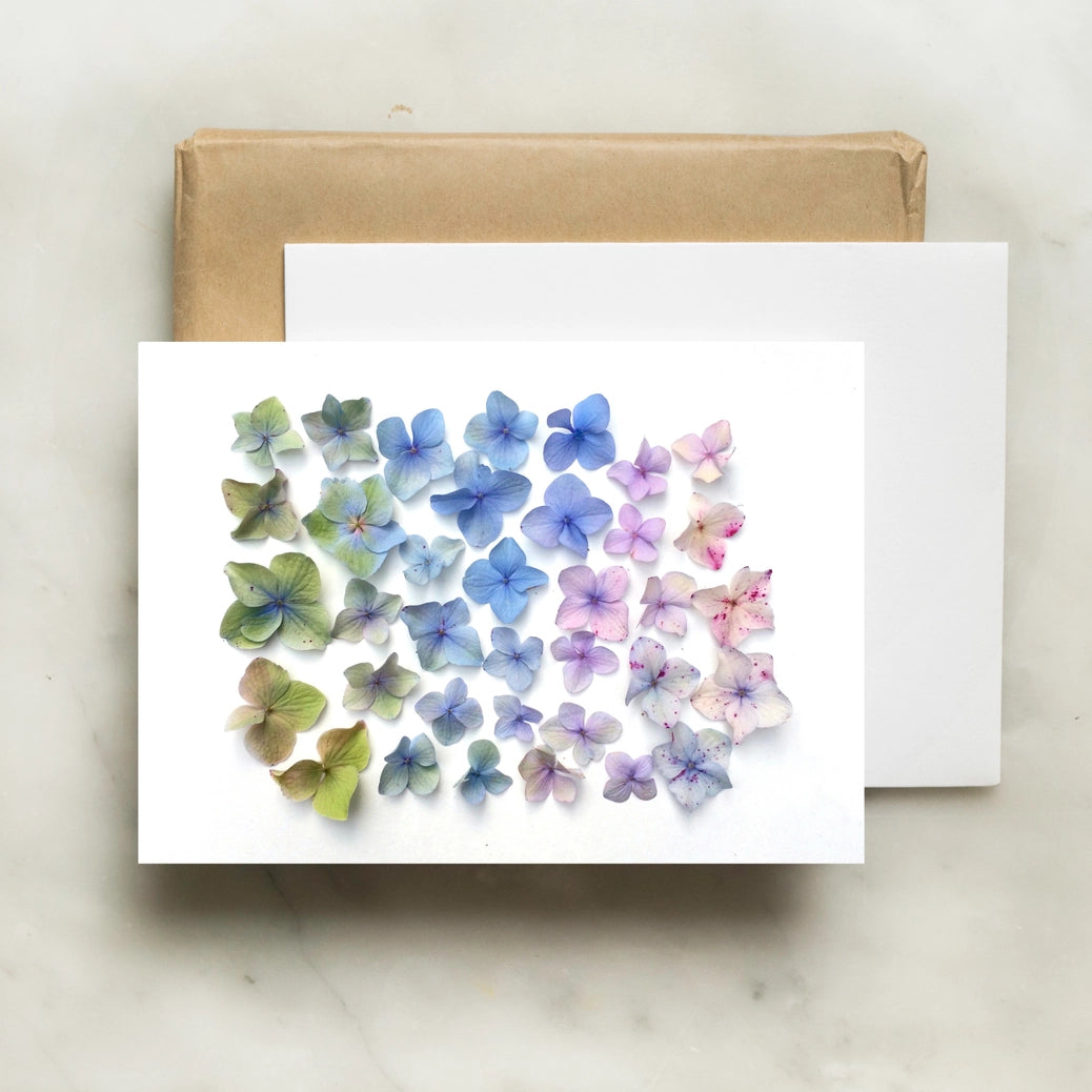 Hydrangea Ombre | Greeting Card