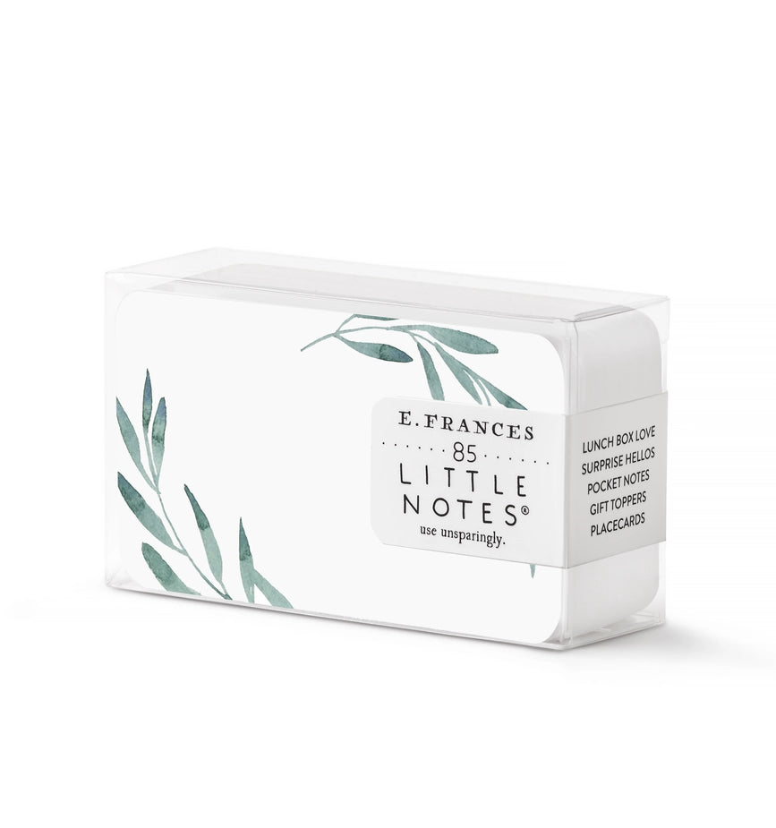 Olive Branch | Little Notes