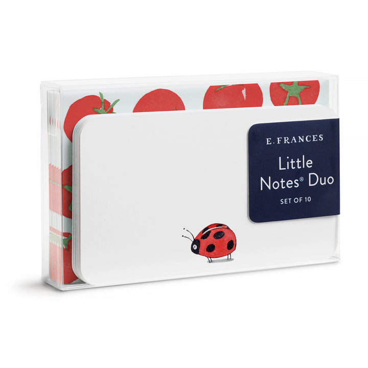 Ladybug Little Notes Duo Set with Envelopes