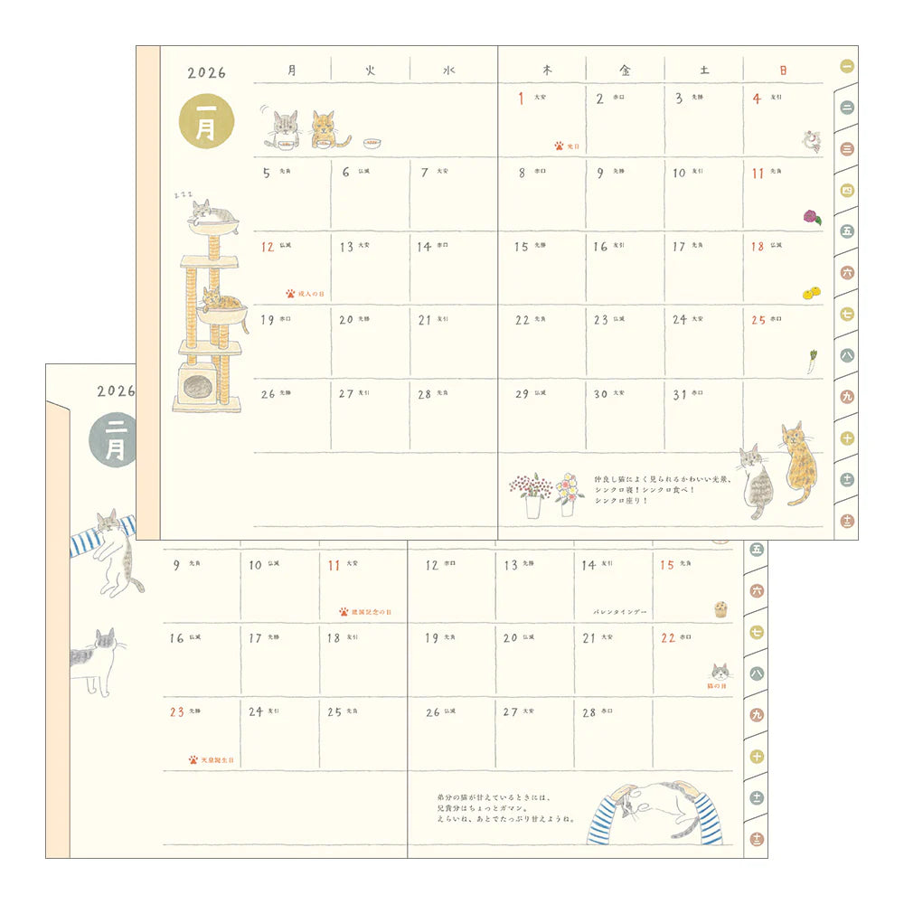 2026 Pocket Weekly Diary | Cat
