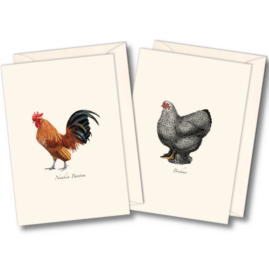 Chicken | Assorted 8 Card Set