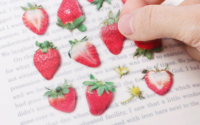 Strawberry Fruit Sticker