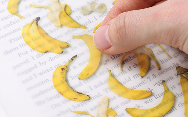 Banana Fruit Sticker