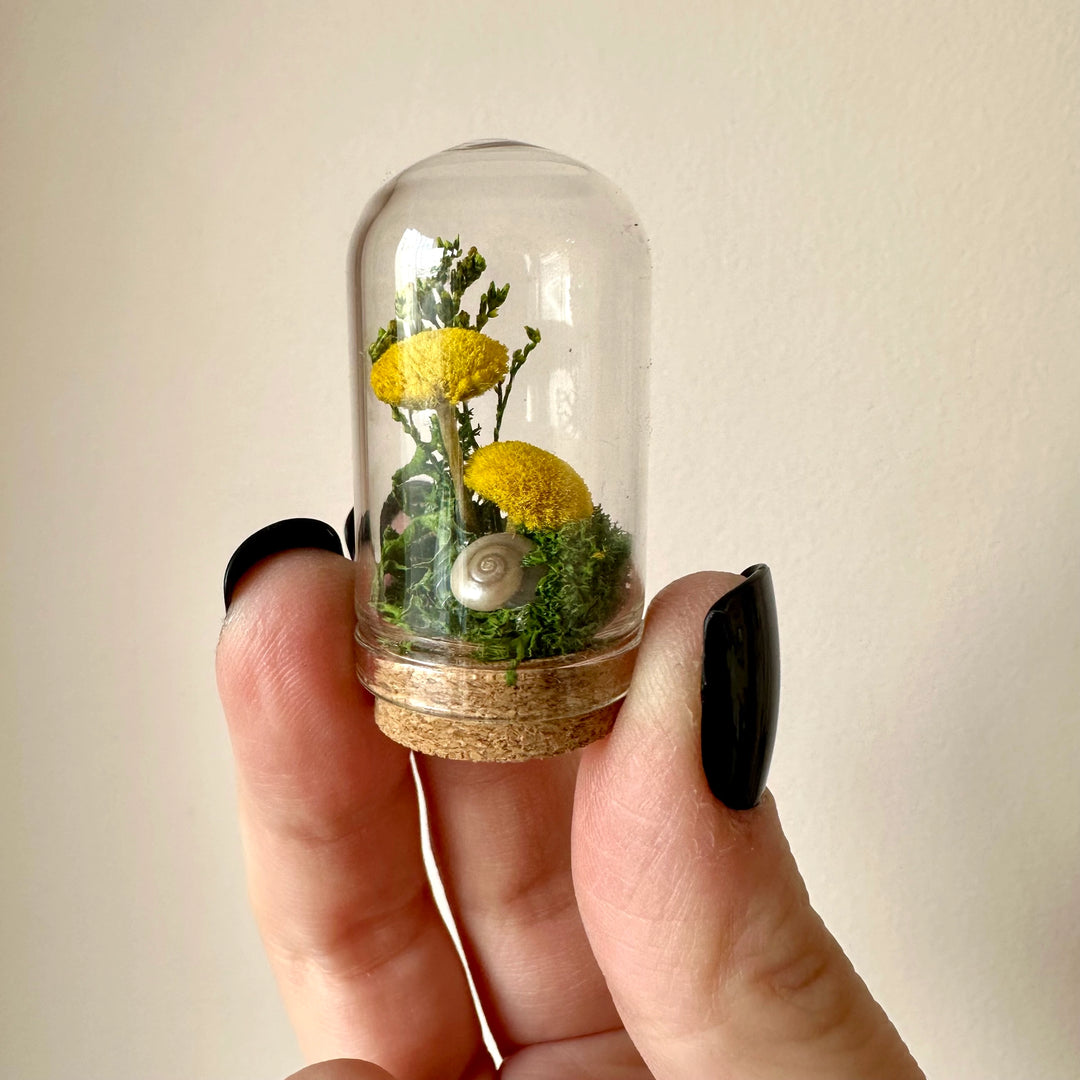 Mini Glass Terrarium | Yellow Meadow Mix Fields with Dried Flowers