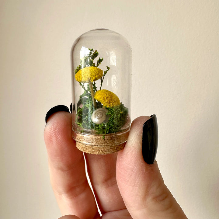 Mini Glass Terrarium | Yellow Meadow Mix Fields with Dried Flowers