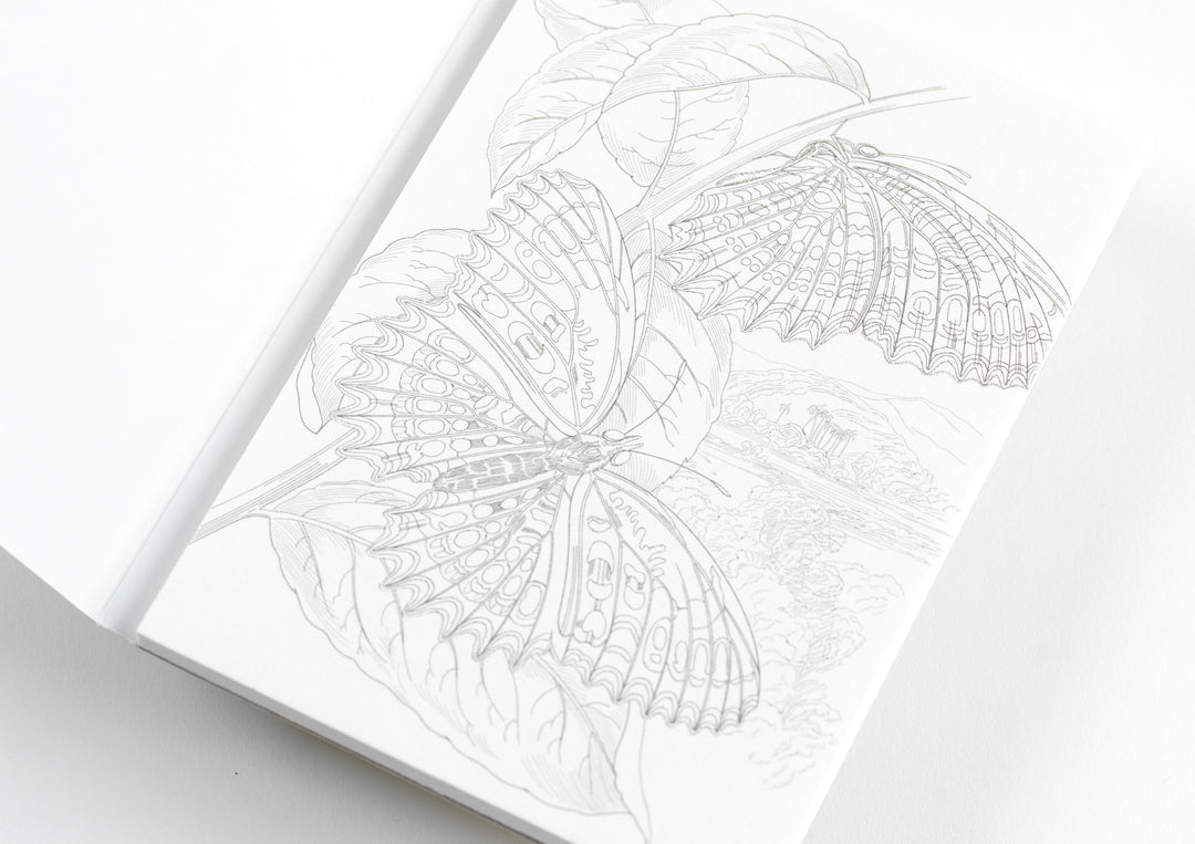 Natural History | Coloring Postcards