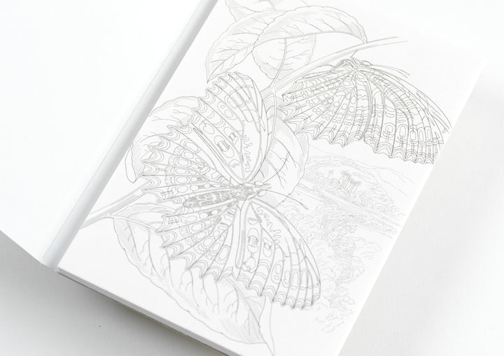 Natural History | Coloring Postcards